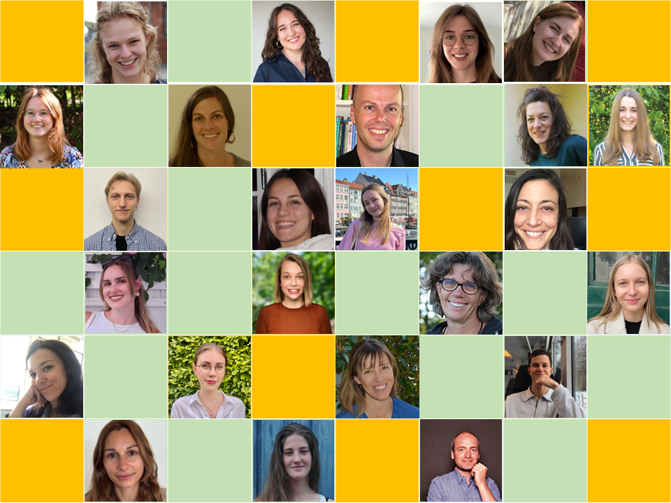 Titelbild: Entwicklungspsychologie